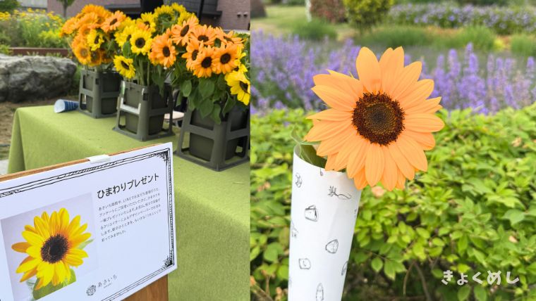 旭川グルメ あさいち 旭川デザインウィーク