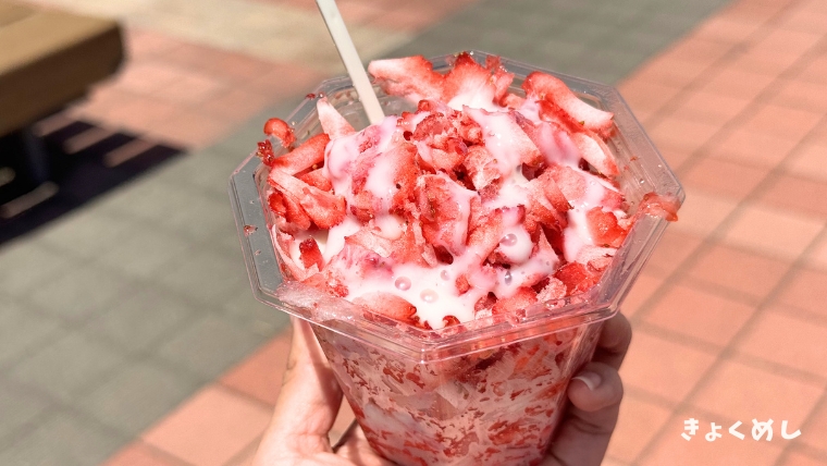 きょくめし さんろく祭り キッチンカーフェス きょくめシュラン