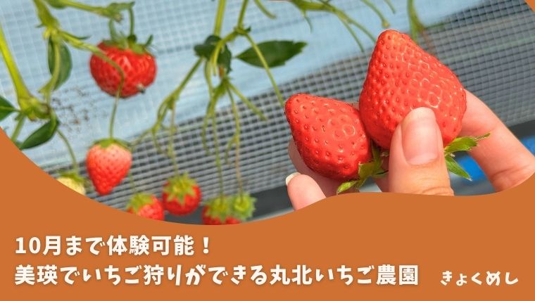 美瑛 いちご狩り 丸北いちご農園 いちごスイーツ 美瑛グルメ
