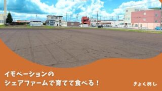 【旭川】イモベーションのシェアファームで楽しく育てて美味しく食べよう♪