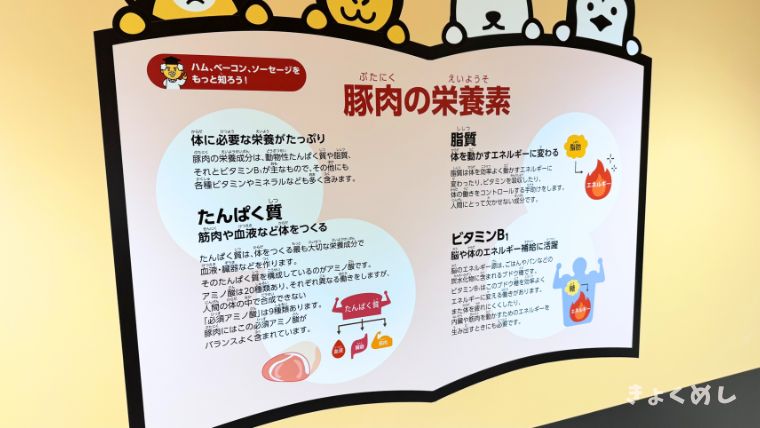 旭川グルメ　きょくめし　日本ハム北海道工場　工場見学　シャウエッセン狩り